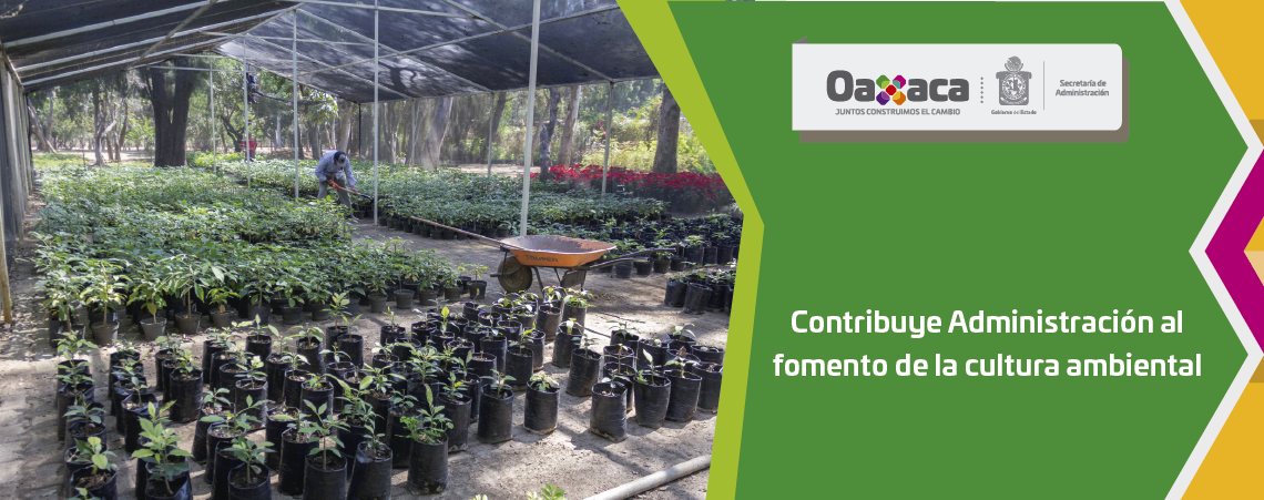 Contribuye Administración al fomento de la cultura ambiental