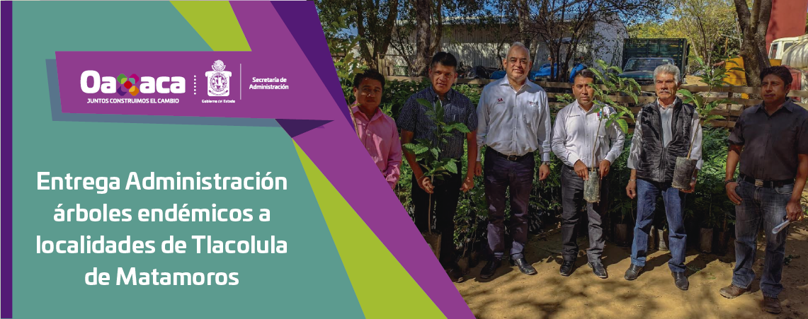 Entrega Administración árboles endémicos a localidades de Tlacolula de Matamoros