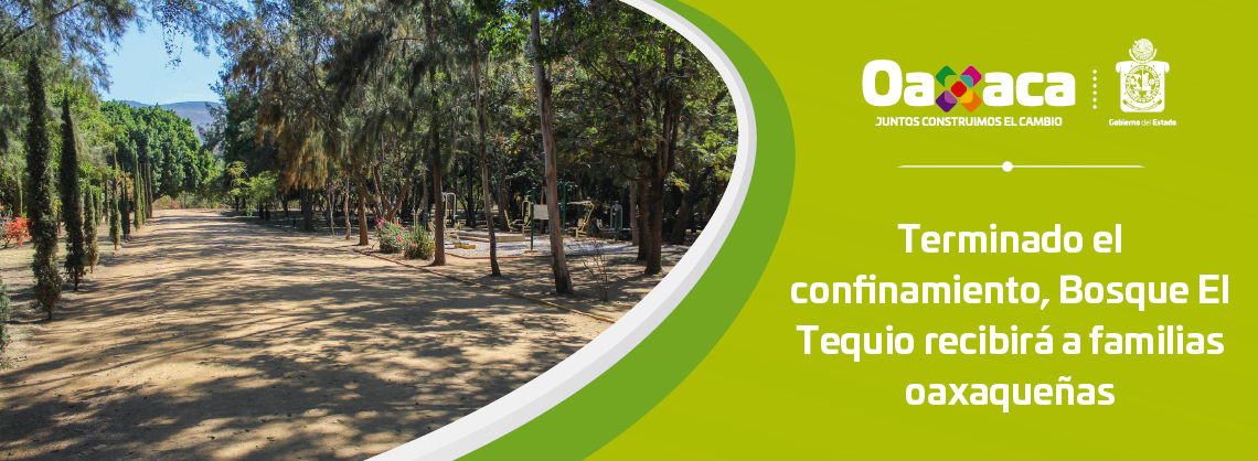 Terminado el confinamiento, Bosque El Tequio recibirá a familias oaxaqueñas