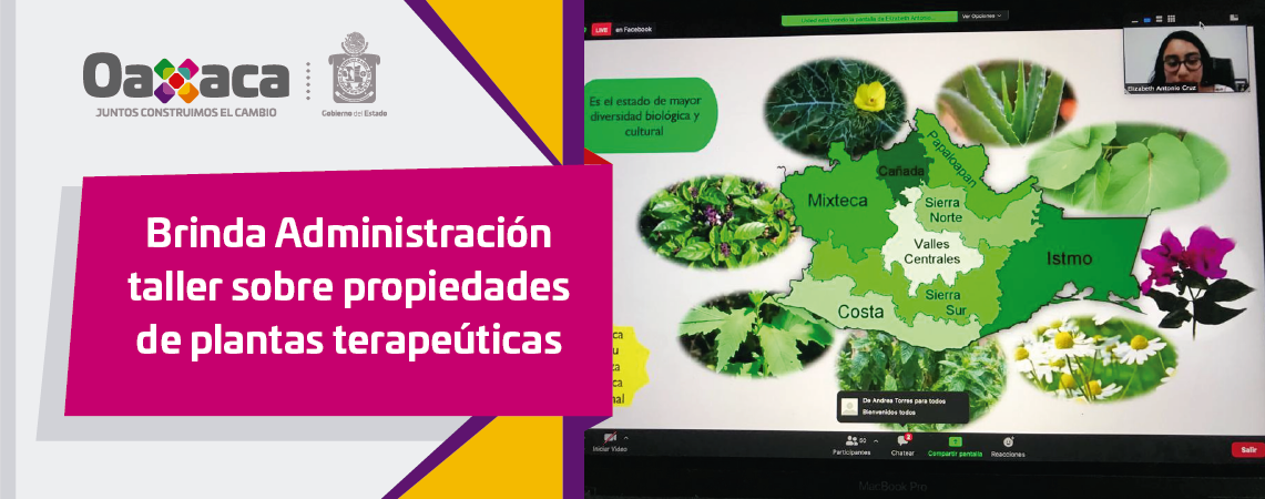 Brinda Administración taller sobre propiedades de plantas terapeúticas
