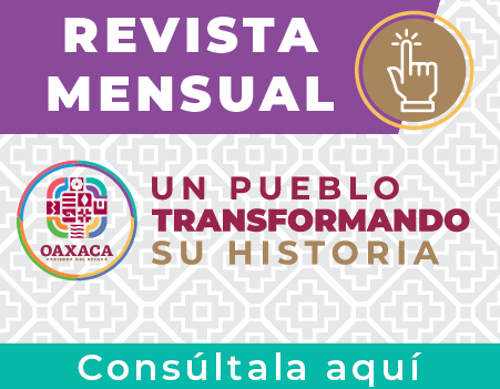 Banner revista