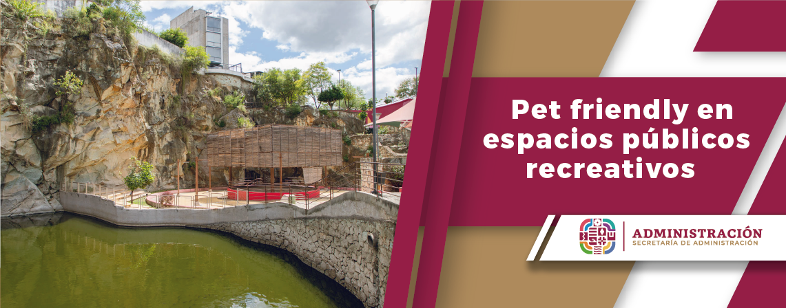 Pet friendly en espacios públicos recreativos