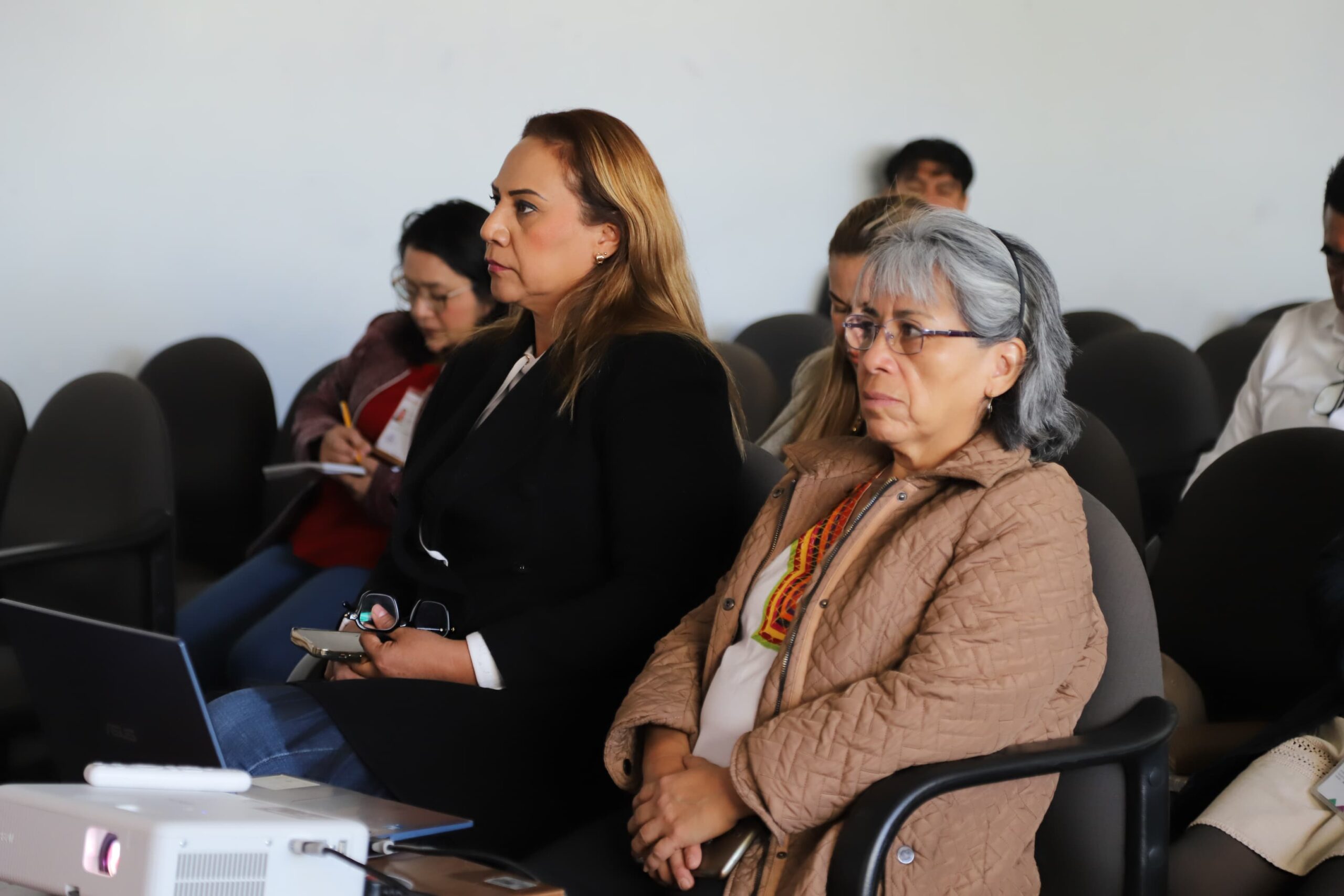 WhatsApp Image 2026-02-13 at 12.55.29