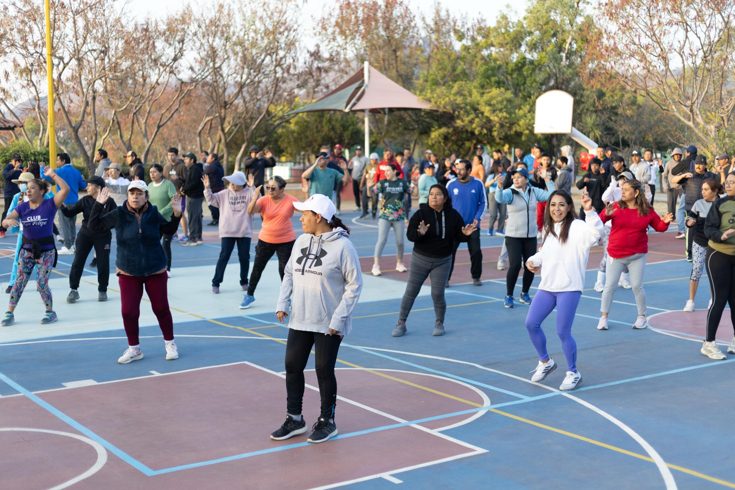 WhatsApp Image 2026-02-14 at 12.22.34