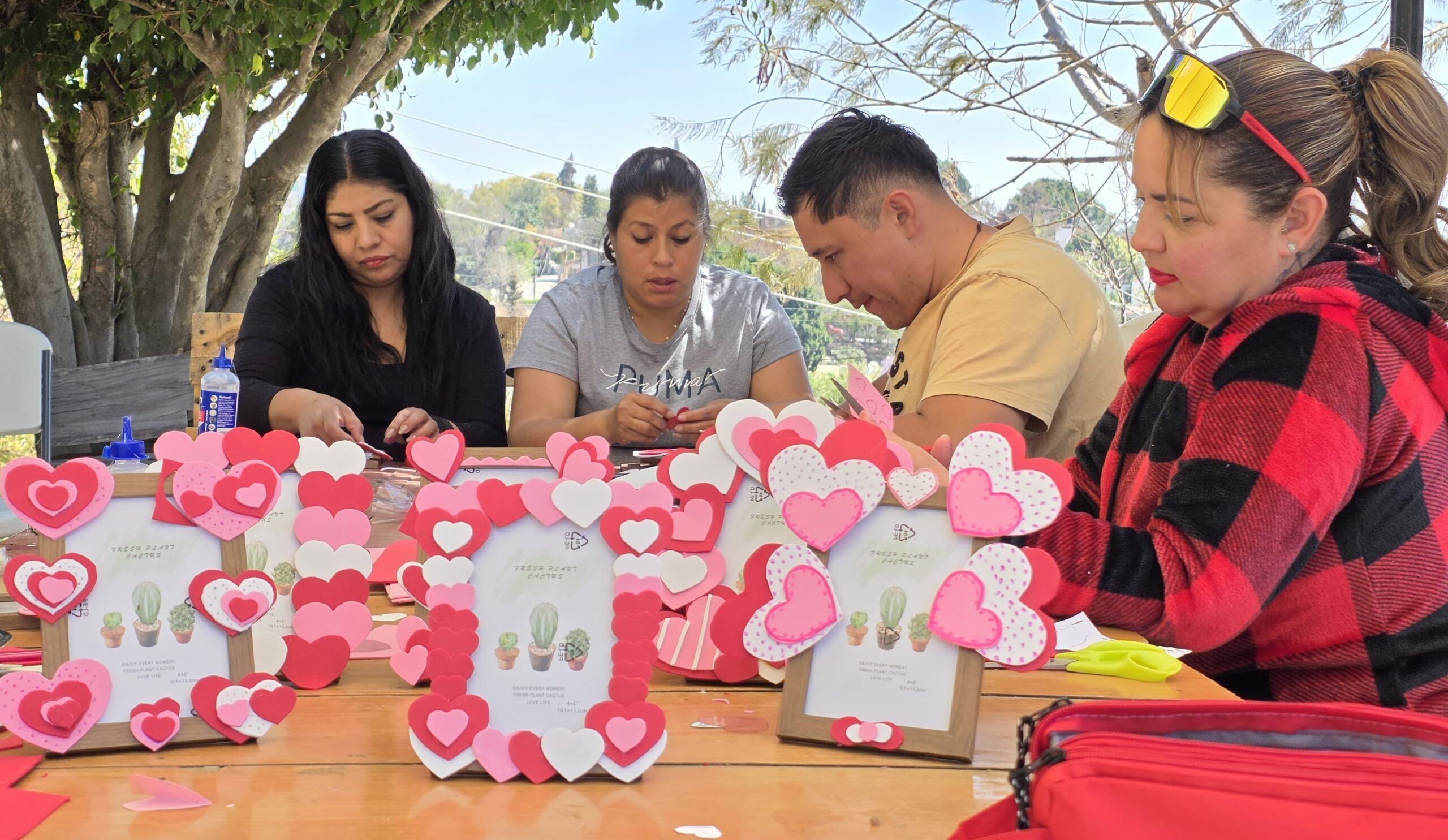 WhatsApp Image 2026-02-14 at 12.46.49