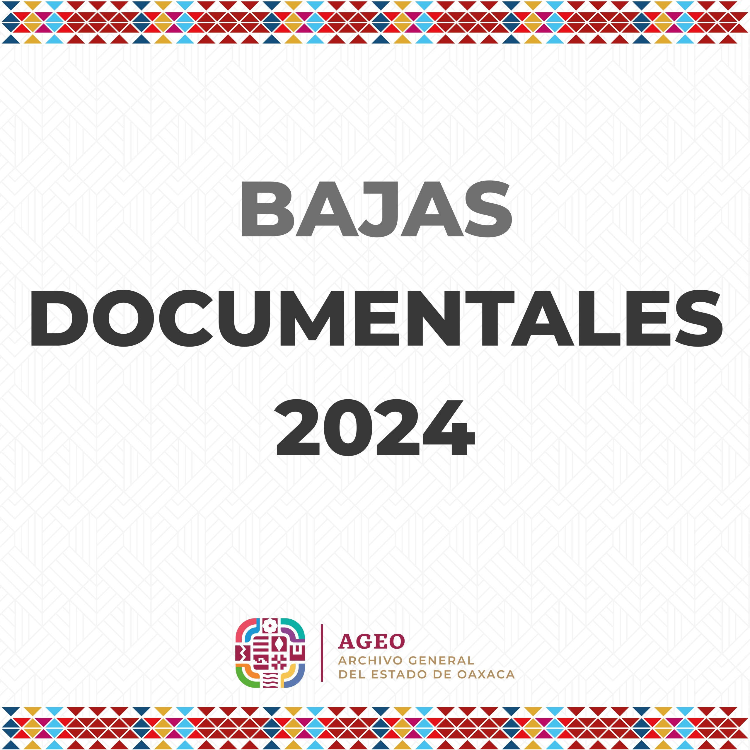 Baja Documental