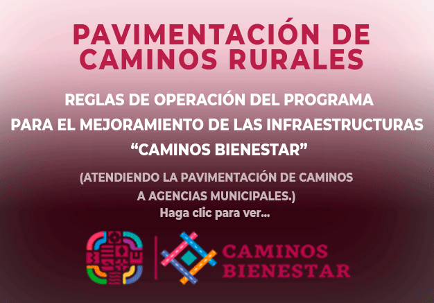 REGLAS DE OPERACION AÑO 2025