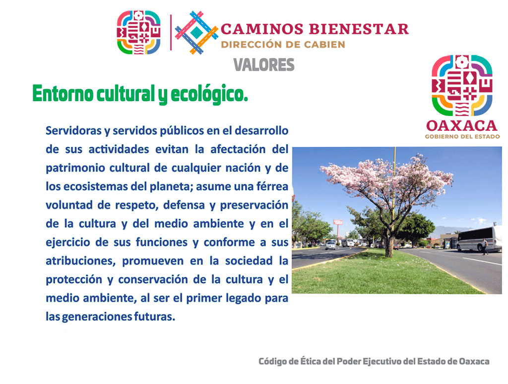 Entorno Cultural  y Ecológico