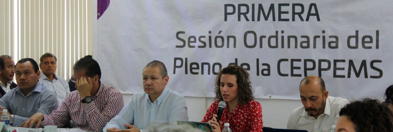 Primer Pleno de la CEPPEMS 2020