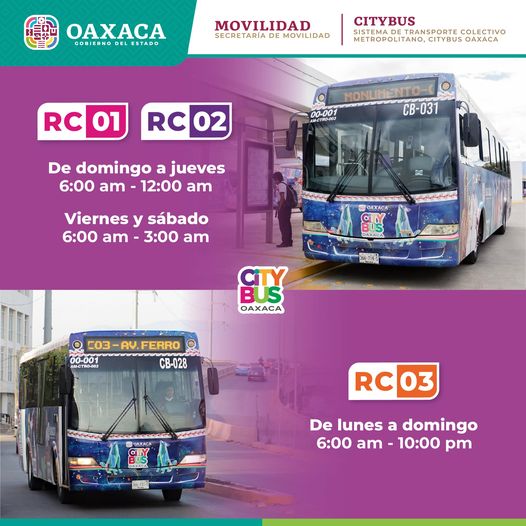 Conoce nuestras rutas