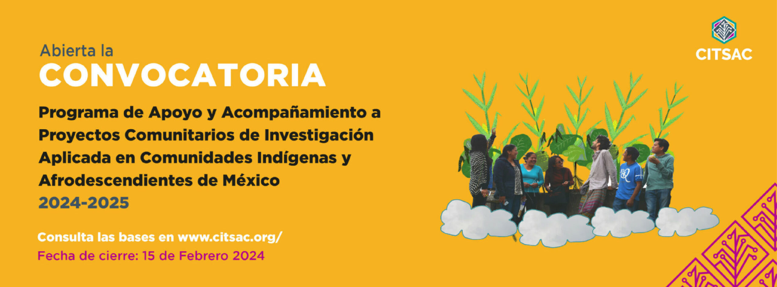 Convocatoria abierta | Programa de apoyo y Acompañamiento a Proyectos Comunitarios de Investigación Aplicada en Comunidades Indígenas y Afrodescendientes de México 2024-2025.