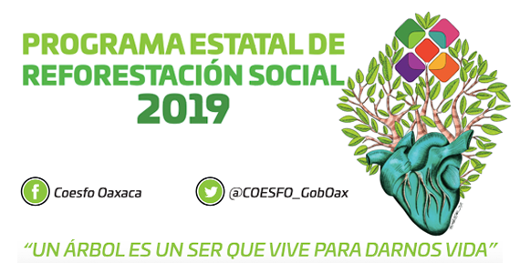 Programa estatal de reforestación social 2019