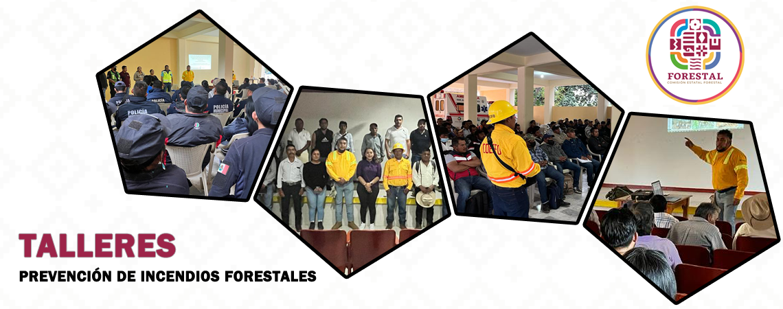 Talleres de capacitación sobre prevención de incendios forestales
