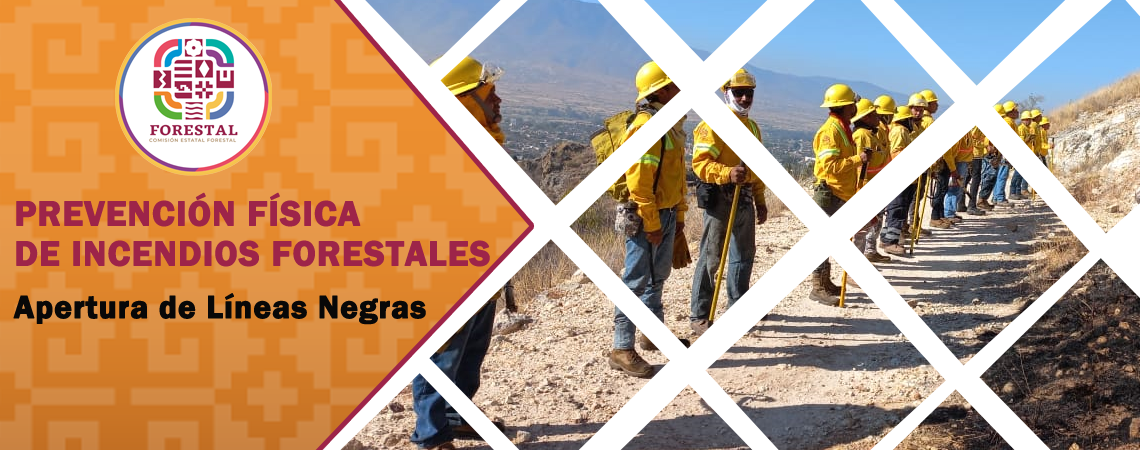 Prevención Física de Incendios Forestales.