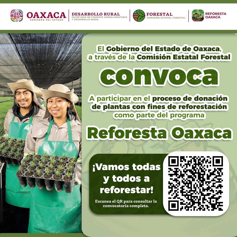 CONVOCATORIA 2025