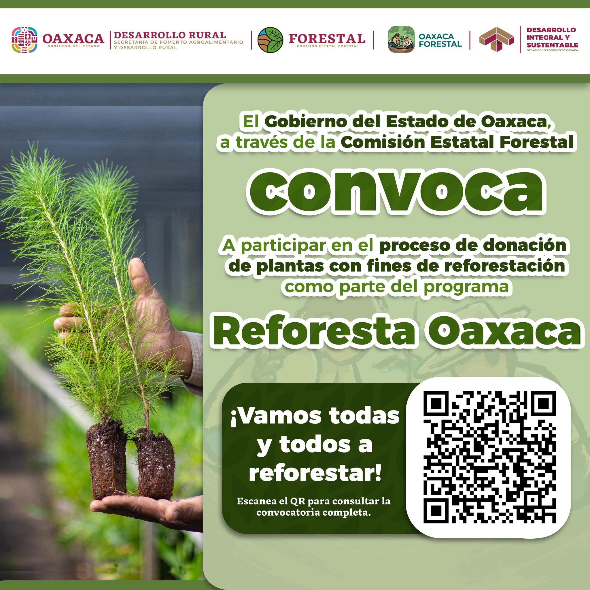 CONVOCATORIA 2026