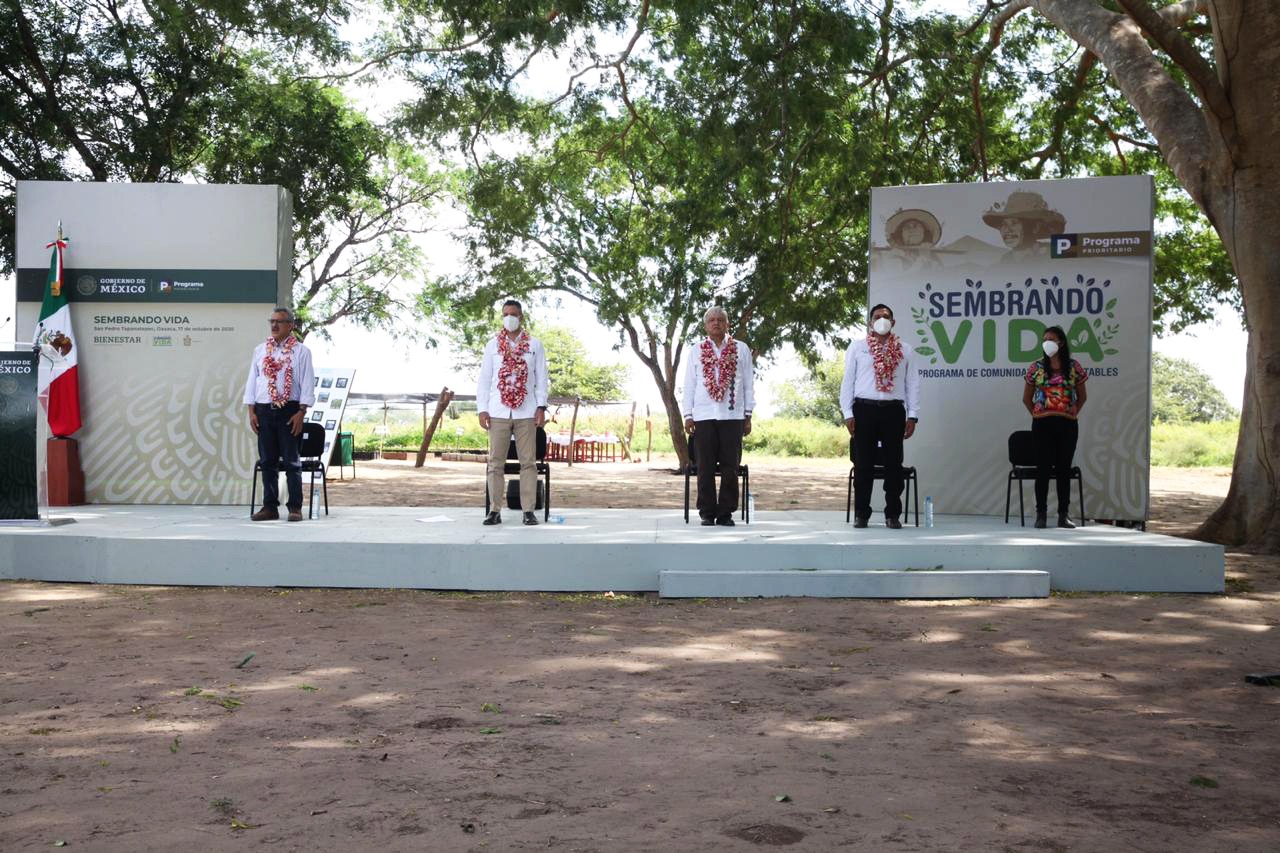 El Gobierno del Estado y la Federación reafirman alianza para seguir  “Sembrando Vida” en Oaxaca – Coordinación de Comunicación Social del  Gobierno del Estado