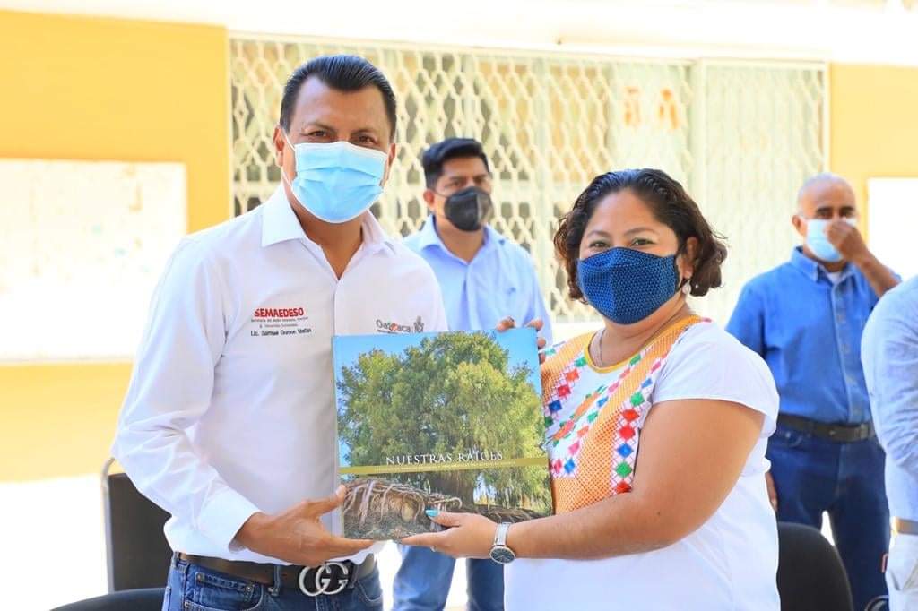 Fomenta Semaedeso mediante «Nuestras Raíces» la difusión y preservación de los árboles notables de Santa María del Tule