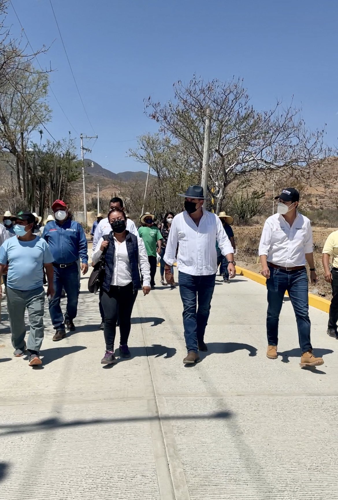 En Oaxaca ponen en marcha campaña de sanidad en agave