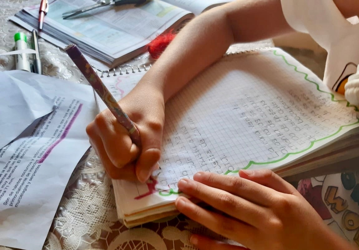 Comparte IEEPO consejos para concluir el ciclo escolar a distancia