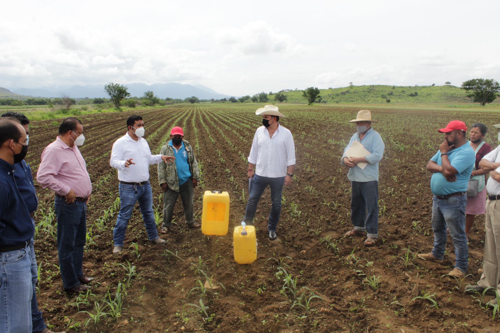 Ponen en marcha campaña fitosanitaria para la producción de maíz