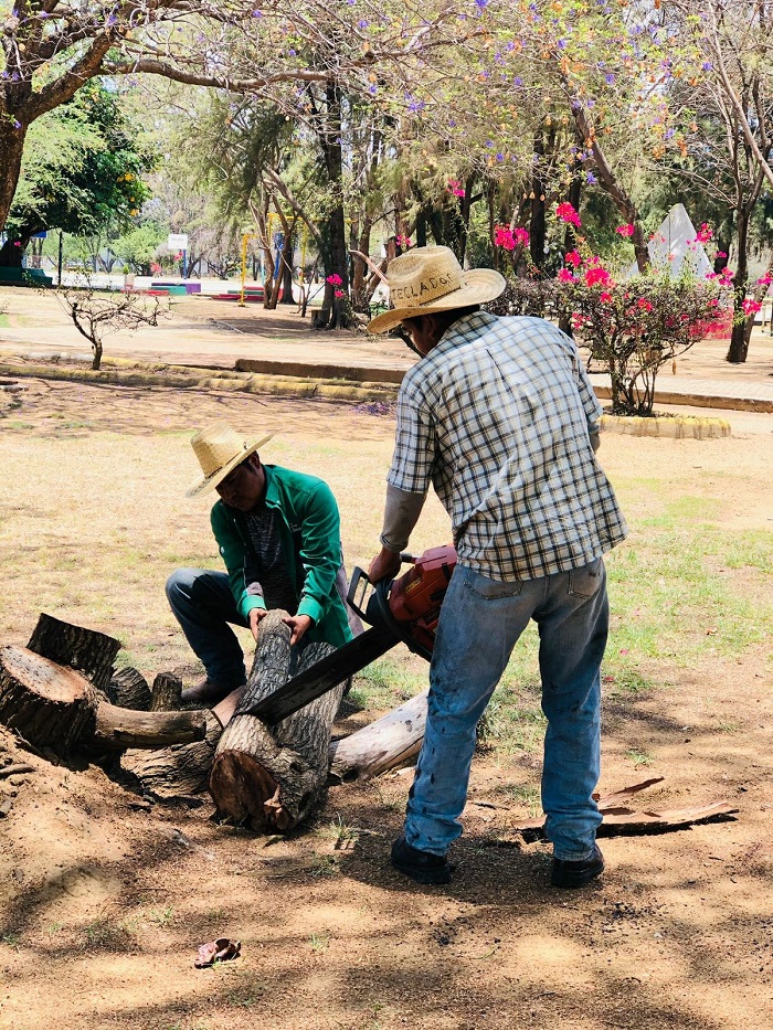 Disfruta comunidad deportiva instalaciones  adecuadas en El Tequio
