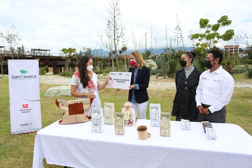 Esta administración estatal continuará empoderando a las y los jóvenes emprendedores: IMM