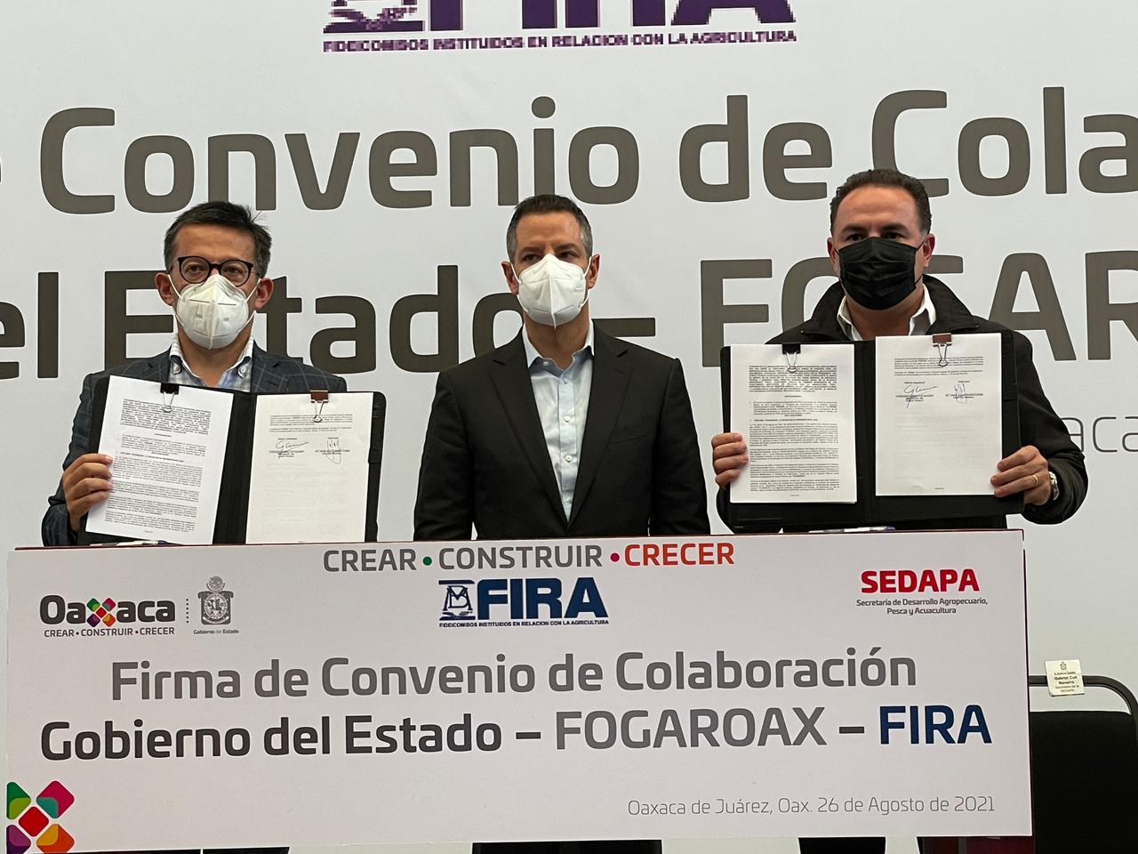 Gobierno de Oaxaca crea condiciones para el desarrollo del campo