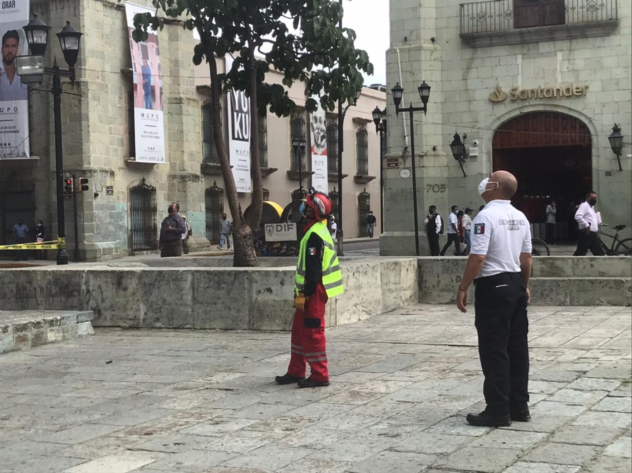 Realiza Bomberos poda de árboles en la Ciudad capital