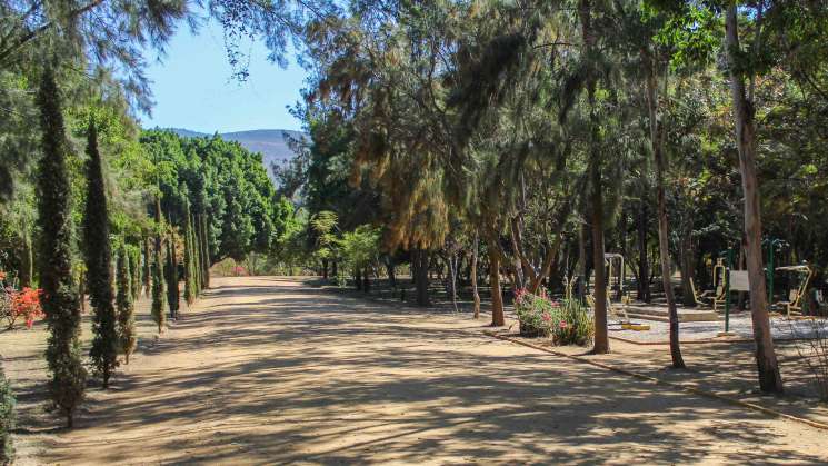 Opera Administración sistema de riego en la Unidad Deportiva El Tequio