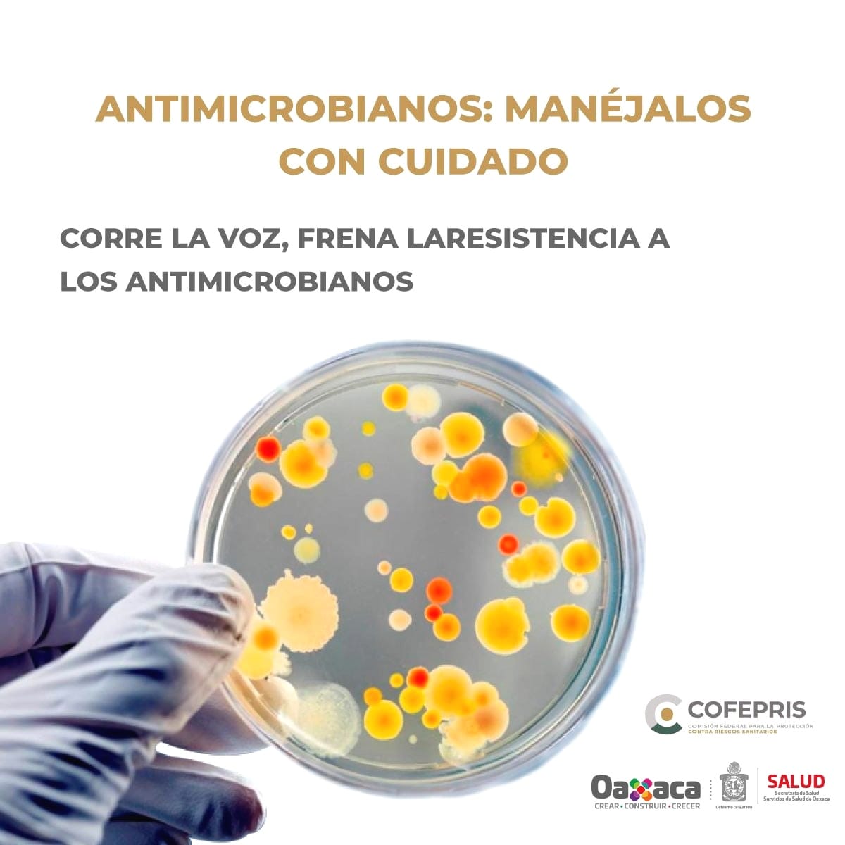 Promueve SSO uso responsable de medicamentos Antimicrobianos