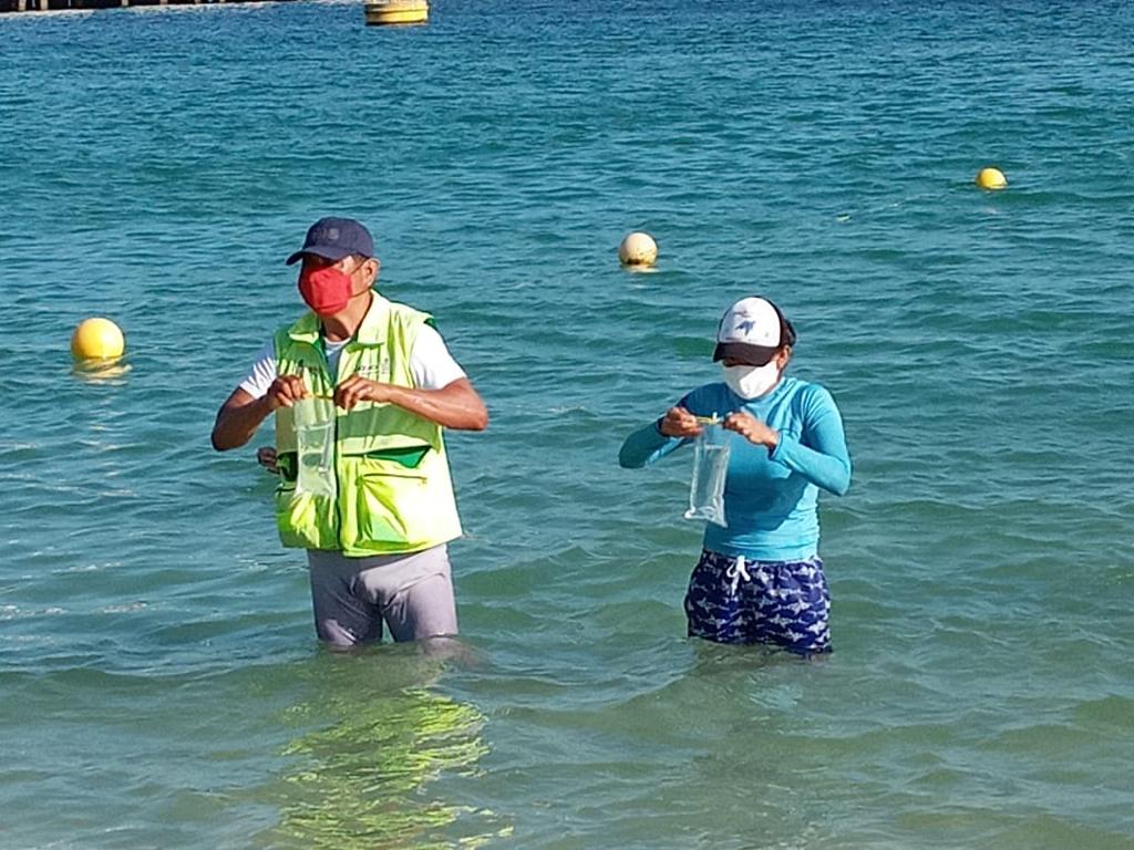 Aptas para uso recreativo las playas de Oaxaca: SSO