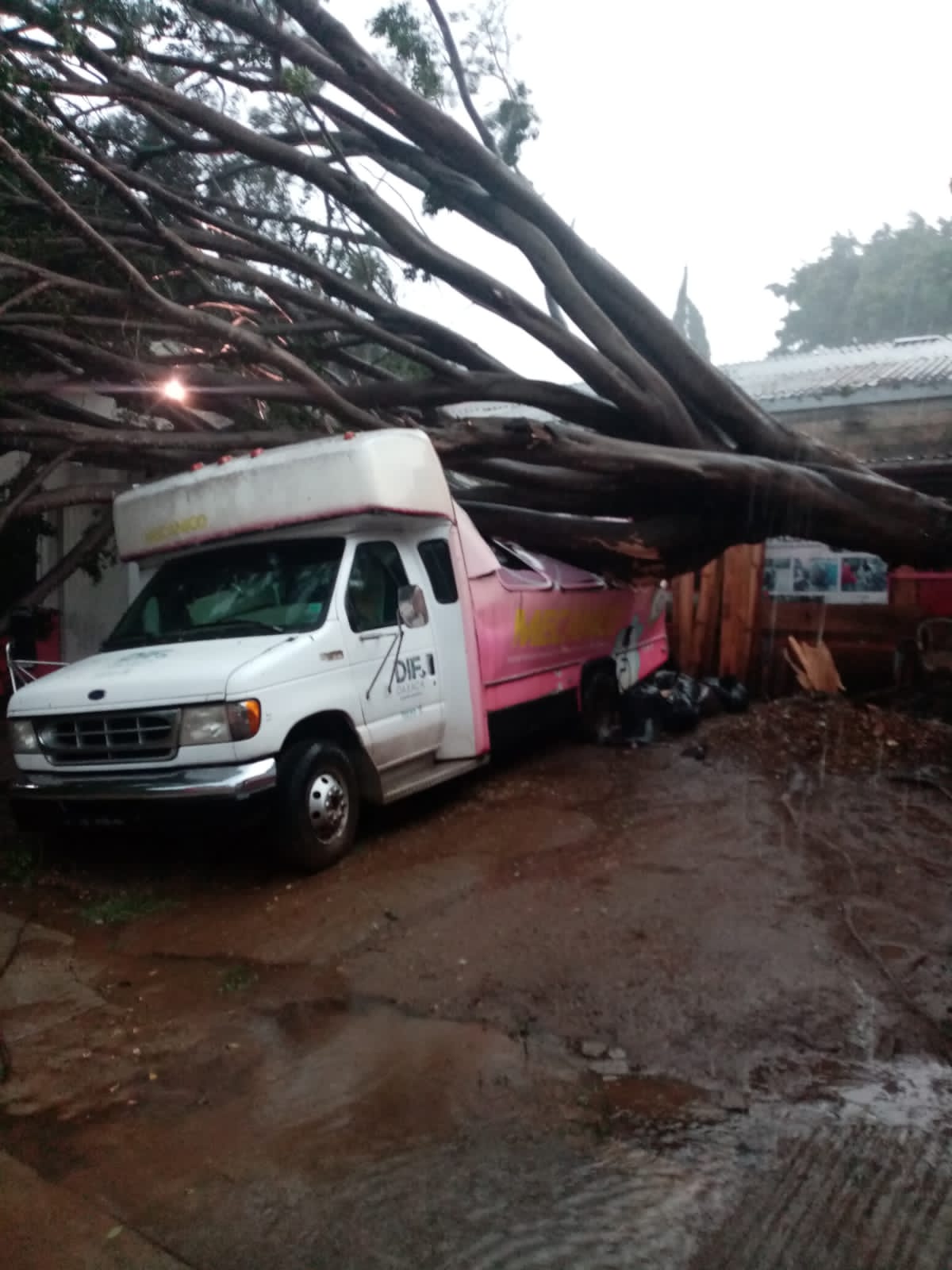 Equipos de emergencia atienden afectaciones por intensa lluvia  en la capital oaxaqueña: CEPCO