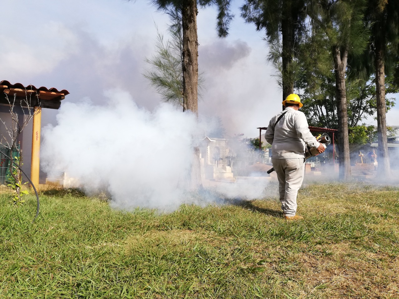 En temporada de lluvia, vital la limpieza en los hogares para combatir al dengue: SSO