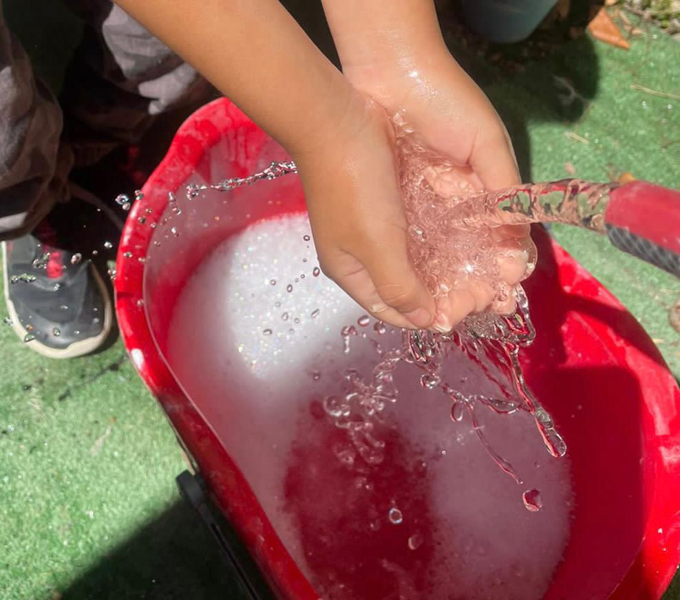 Emite SSO recomendaciones para un entorno seguro y saludable en las escuelas