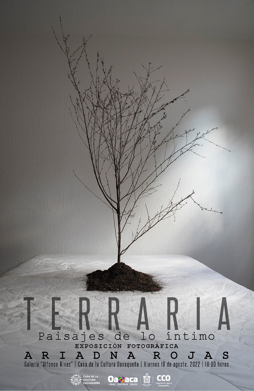 Presenta Ariadna Rojas su primera exposición individual en la CCO