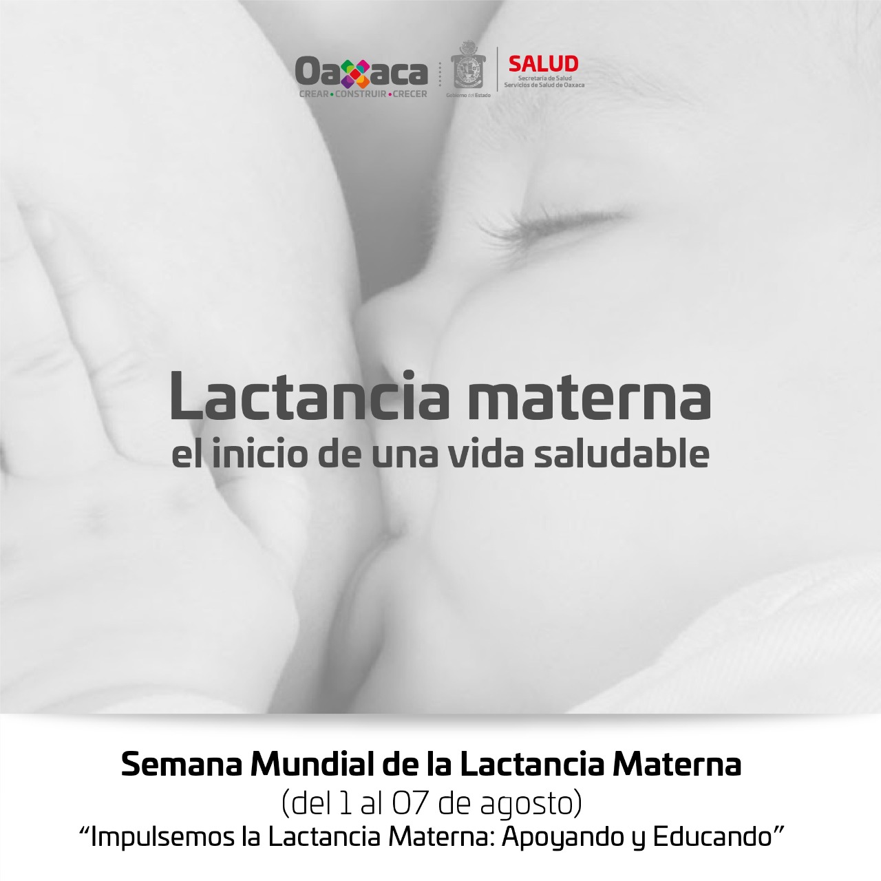 La leche materna aporta a las y los infantes más de mil 600 nutrientes: SSO – Coordinación de Comunicación Social del Gobierno del Estado La leche materna aporta a las y los infantes más de mil 600 nutrientes: SSO – Coordinación de Comunicación Social del Gobierno del Estado