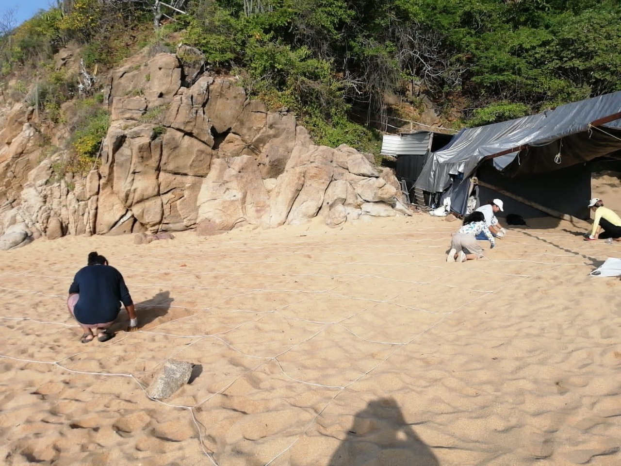 Cuenta Oaxaca con 17 playas aptas para uso recreativo: SSO