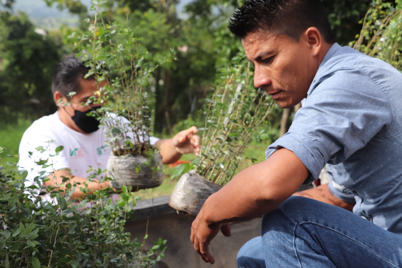 Contribuye UTSSO en la protección del medio ambiente de la Sierra Sur de Oaxaca