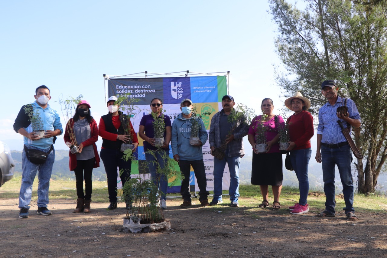Fortalece UTSSO vínculos solidarios para la protección del medio ambiente en la Sierra Sur