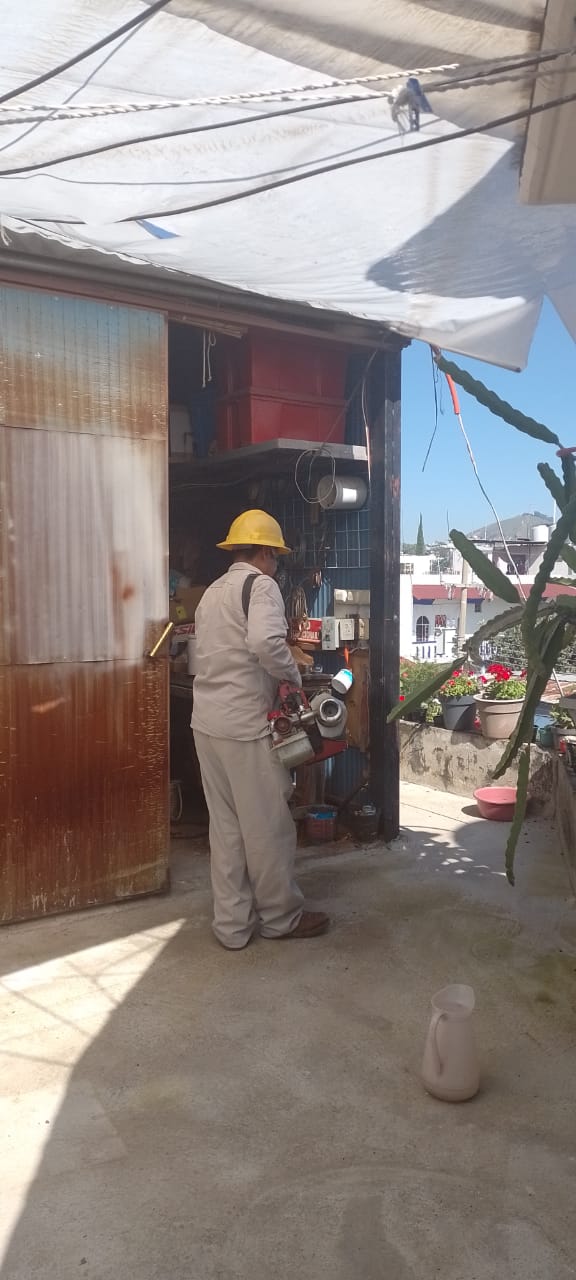 Convocan los SSO a unirse a la lucha contra el dengue