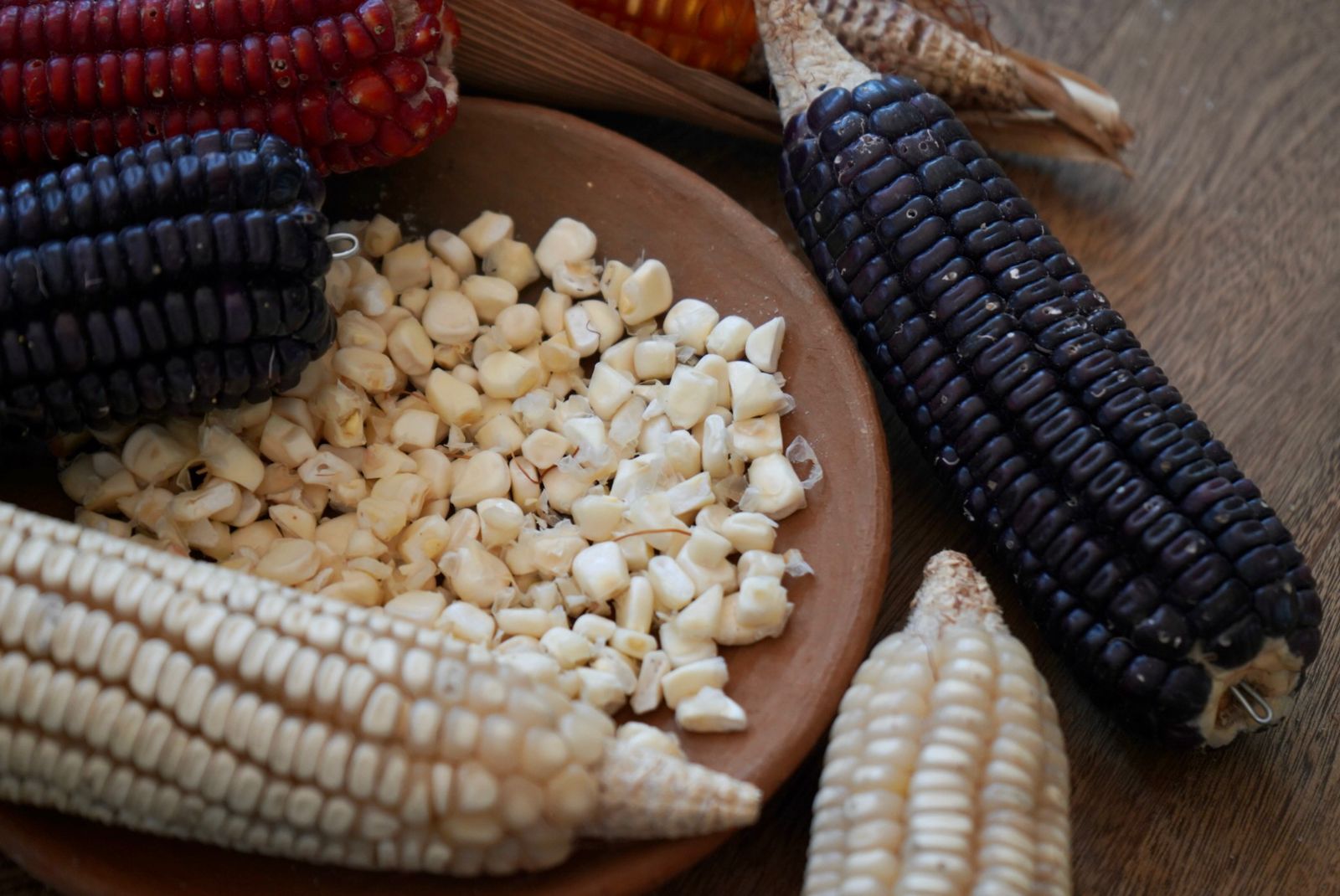 Oaxaca celebra el Día Nacional del Maíz, alimento que representa nuestra identidad