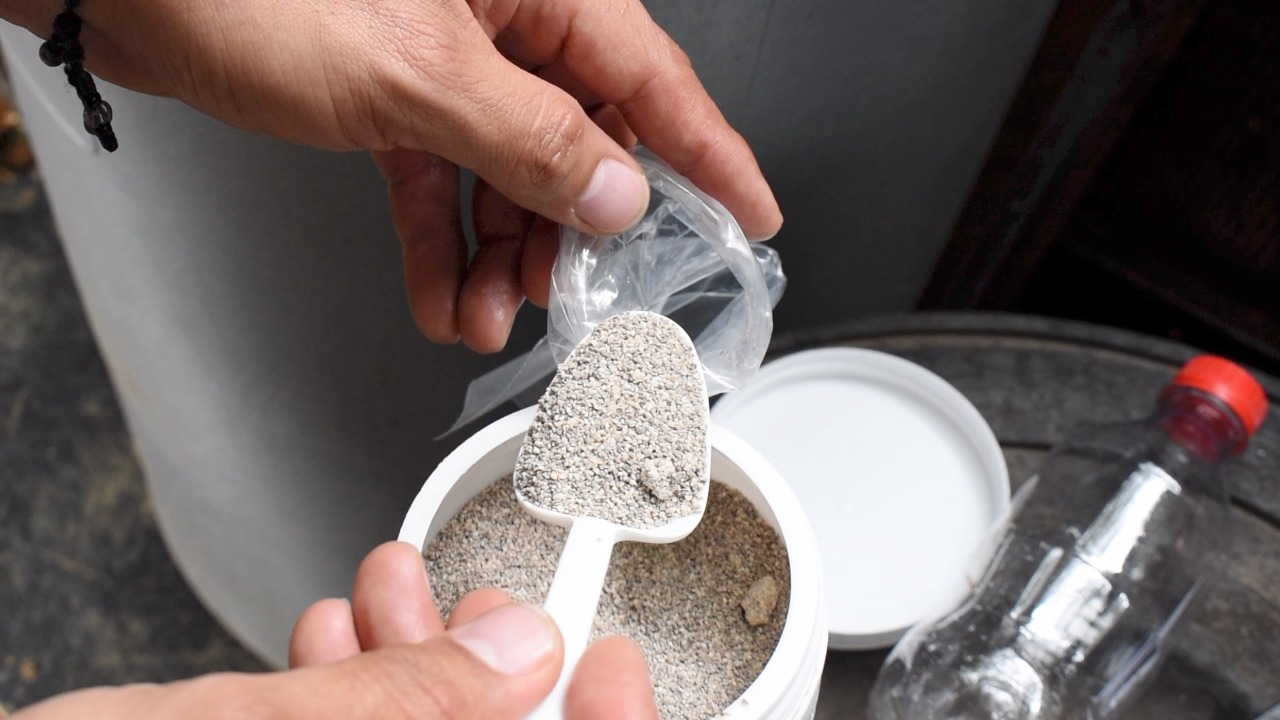 Oaxaca ocupa el sexto lugar nacional por dengue: SSO