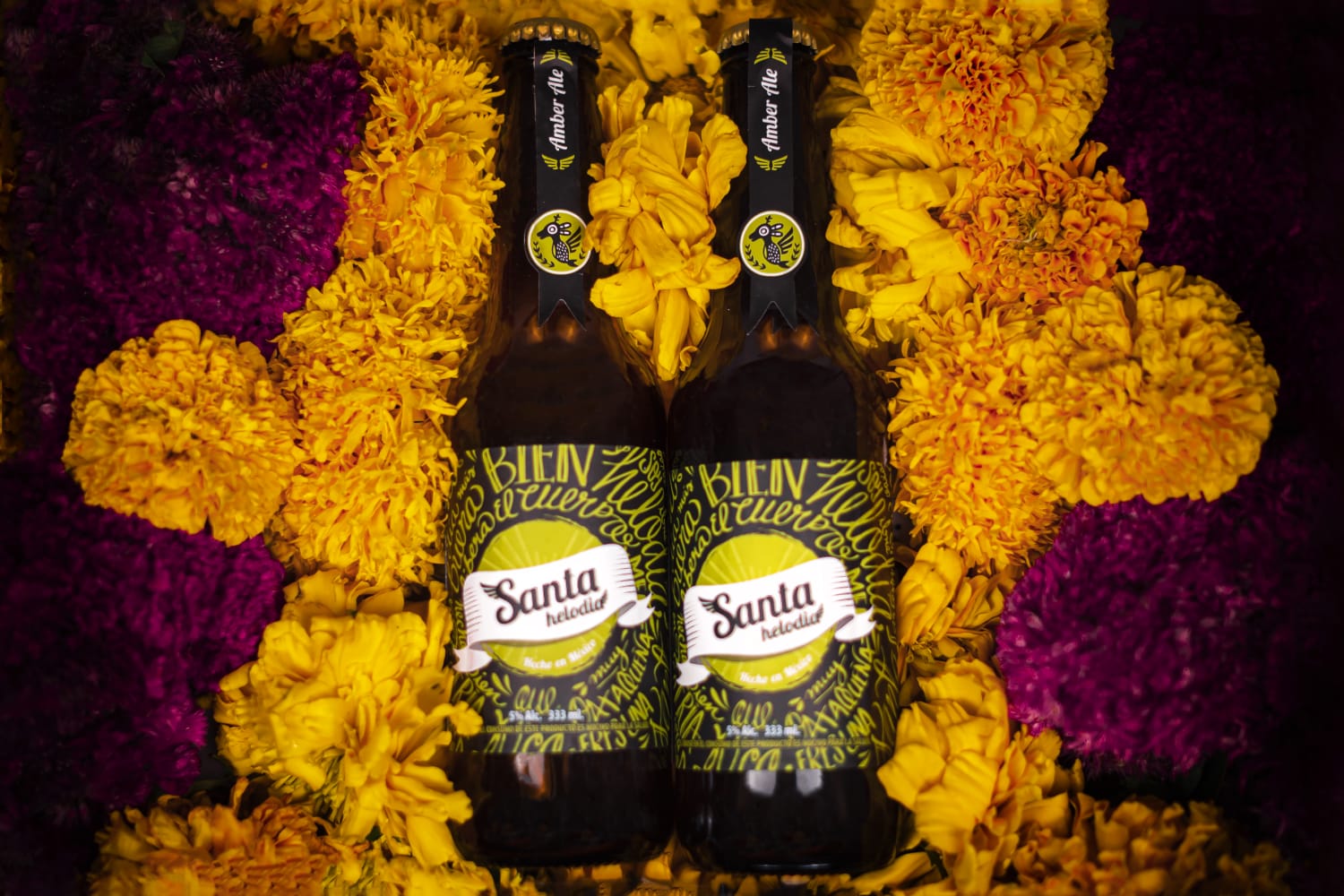 Centro Gastronómico Oaxaca, sede del “Muertos Beer Fest”