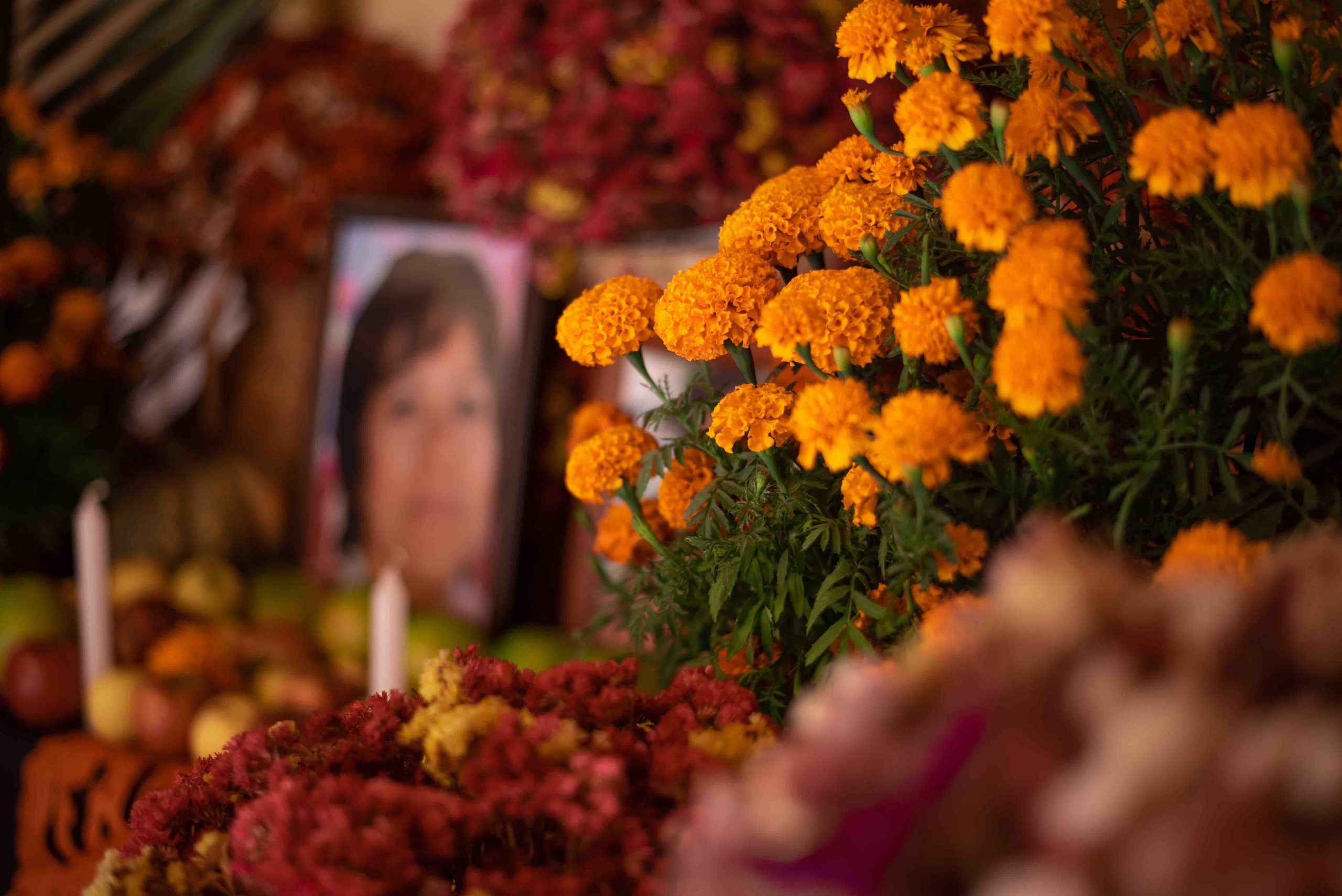 Se espera en Oaxaca derrama económica de 293 millones de pesos por celebración de Día de Muertos