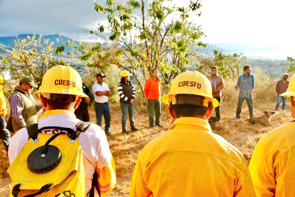 Inicia Gobierno del Estado trabajos de prevención de incendios forestales en Áreas Naturales Protegidas