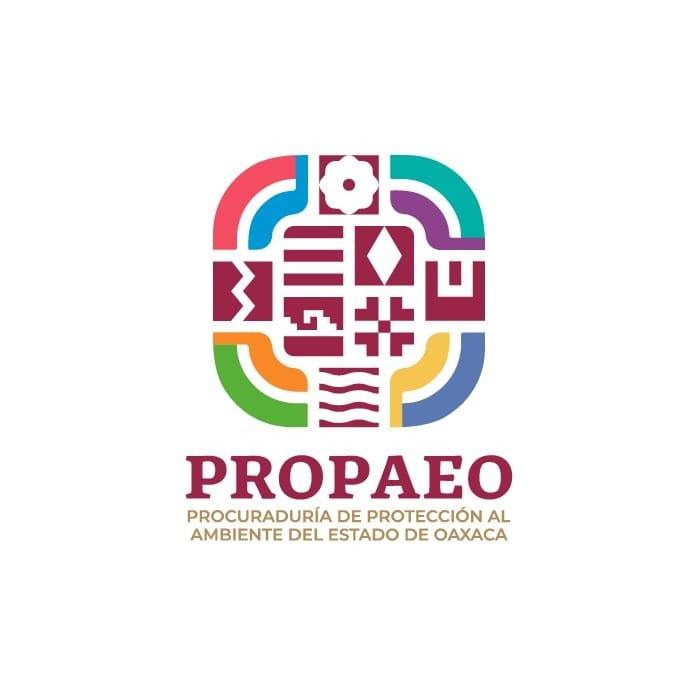 Presenta Procuraduría Ambiental de Oaxaca denuncias por derrame de hidrocarburos