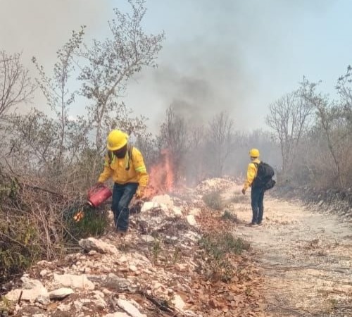 Sofocan tres incendios forestales y se combaten cinco activos: Coesfo
