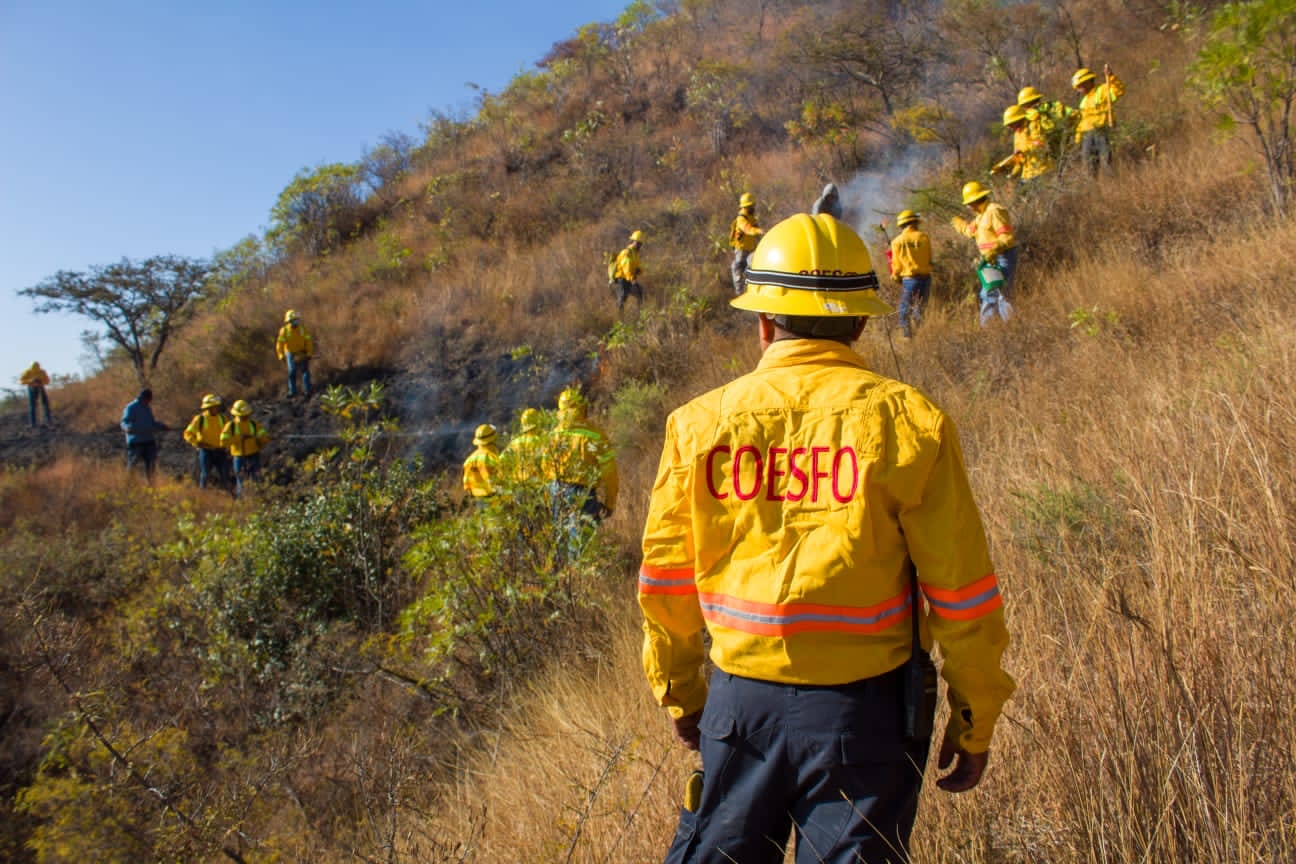 Coesfo e INAH suman esfuerzos para prevenir que incendios afecten la Zona Arqueológica de Monte Albán