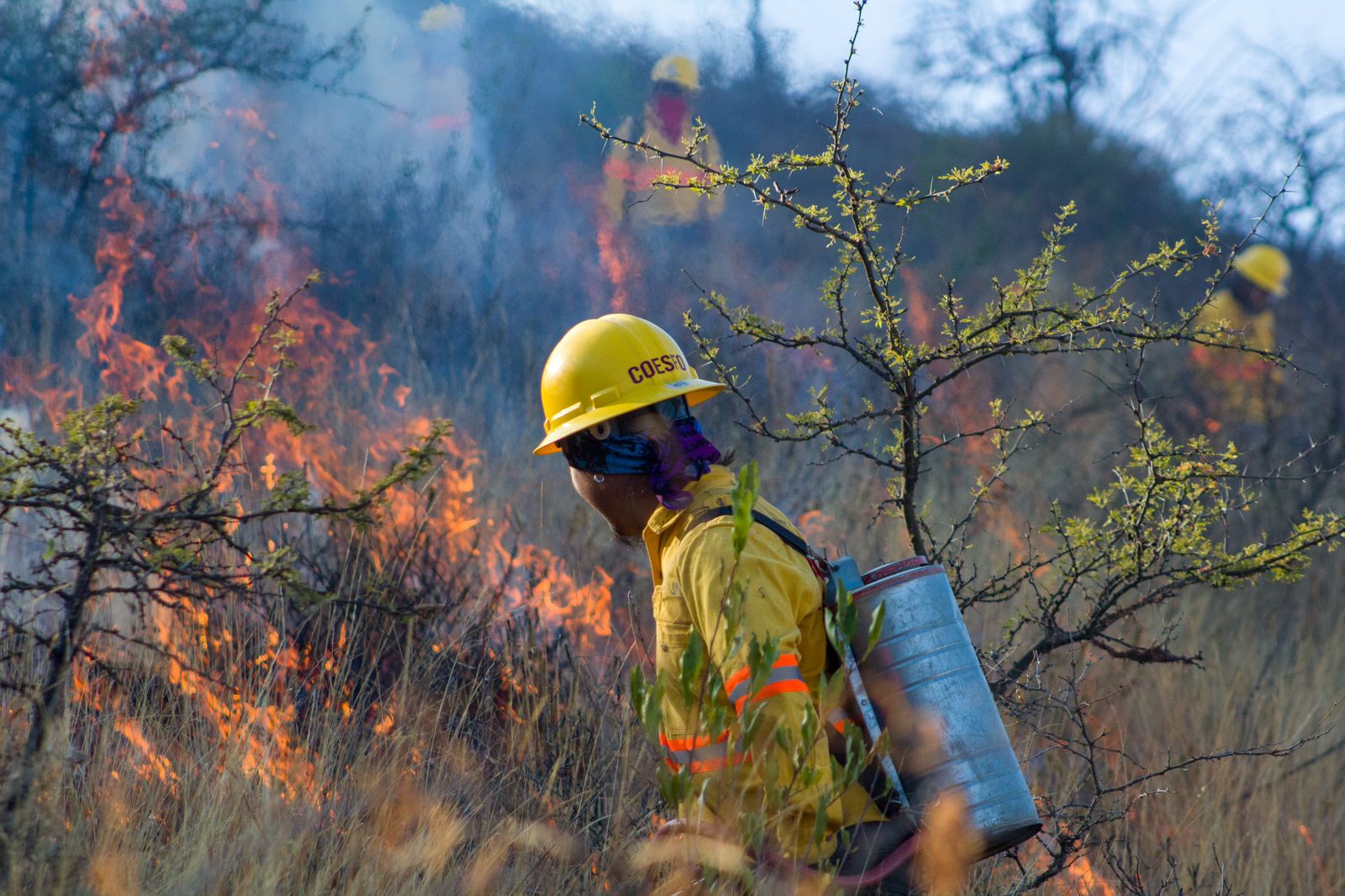 Gobierno de Oaxaca actúa para proteger la zona arqueológica de Yagul y la población de jaguar